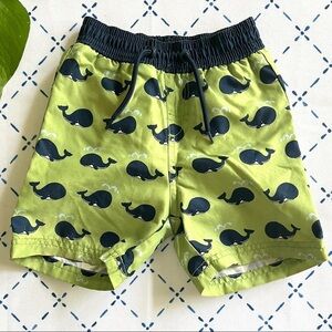 Gymboree Whale Swim Trunks